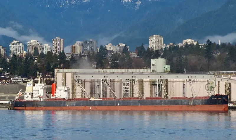 FARMER Bulk Carrier IMO 9589267 photo 4
