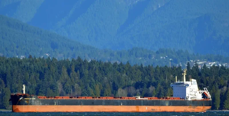 FARMER Bulk Carrier IMO 9589267 photo 6