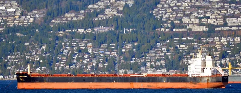 FARMER Bulk Carrier IMO 9589267 photo 7