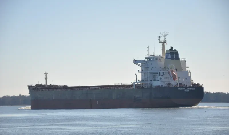 FARMER Bulk Carrier IMO 9589267 photo 9