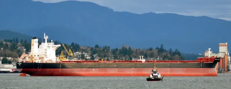 PANTARISTE Bulk Carrier IMO 9589384 photo 2