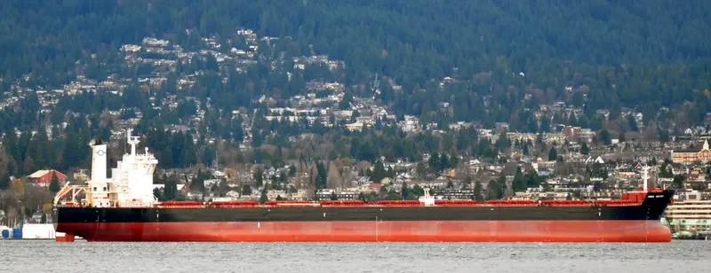 PANTARISTE Bulk Carrier IMO 9589384 photo 3