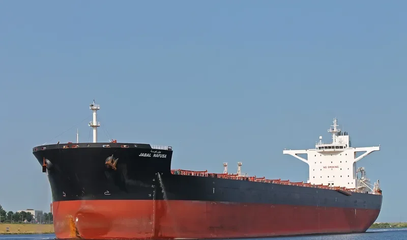 PANTARISTE Bulk Carrier IMO 9589384 photo 5