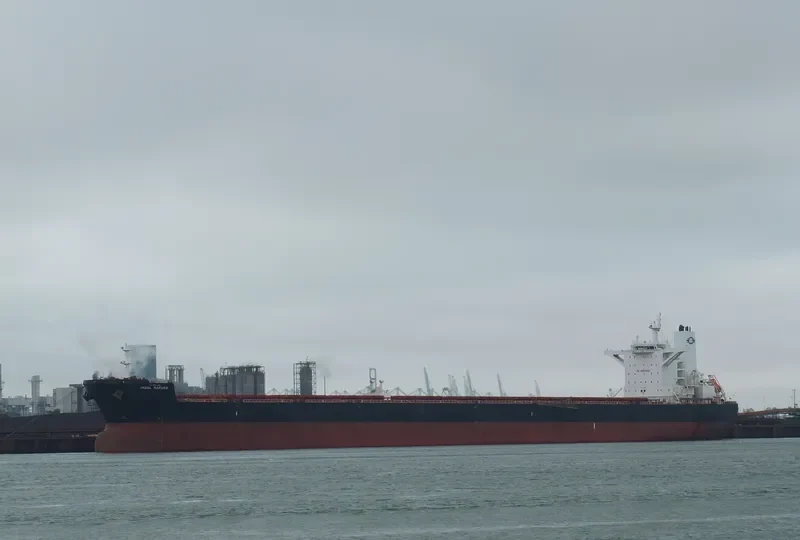 PANTARISTE Bulk Carrier IMO 9589384 photo 9