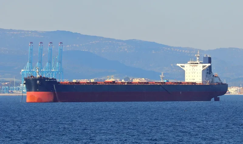 BLUE LHOTSE Bulk Carrier IMO 9589396