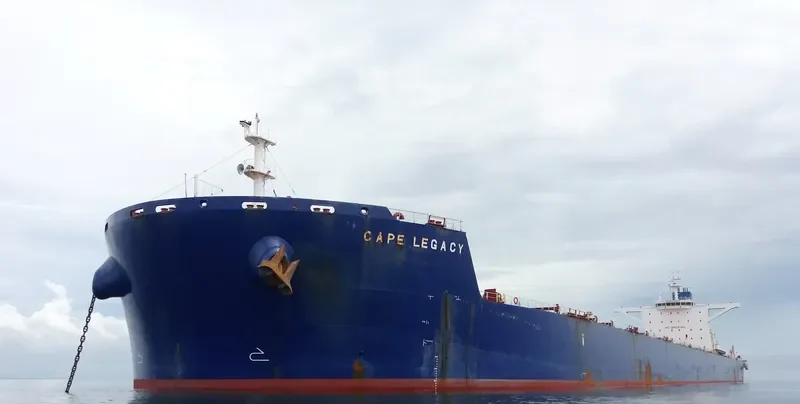 CAPE LEGACY Bulk Carrier IMO 9589401 photo 4