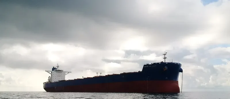 CAPE LEGACY Bulk Carrier IMO 9589401 photo 6