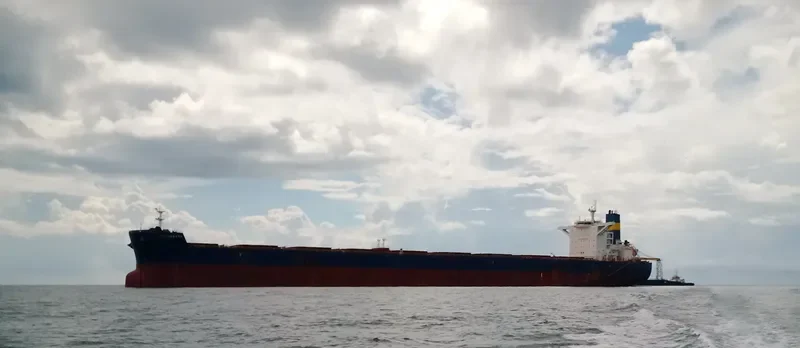CAPE LEGACY Bulk Carrier IMO 9589401 photo 7