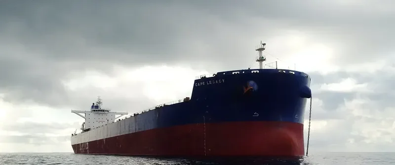 CAPE LEGACY Bulk Carrier IMO 9589401 photo 8