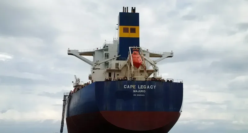 CAPE LEGACY Bulk Carrier IMO 9589401 photo 9