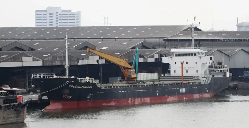 TRUONG MINH 99 Bulk Carrier IMO 9589425