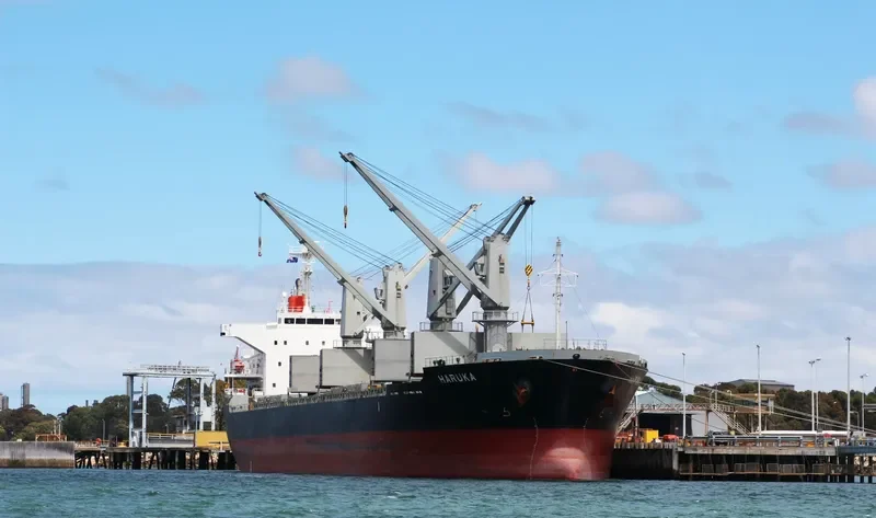 HARUKA Bulk Carrier IMO 9589619