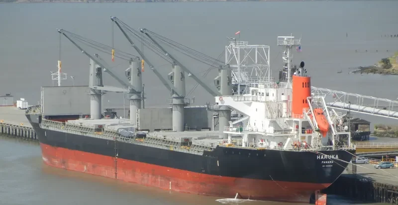 HARUKA Bulk Carrier IMO 9589619 photo 3
