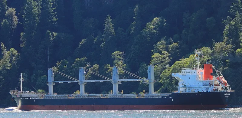 HARUKA Bulk Carrier IMO 9589619 photo 4