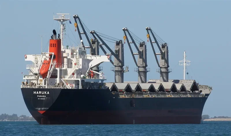 HARUKA Bulk Carrier IMO 9589619 photo 5