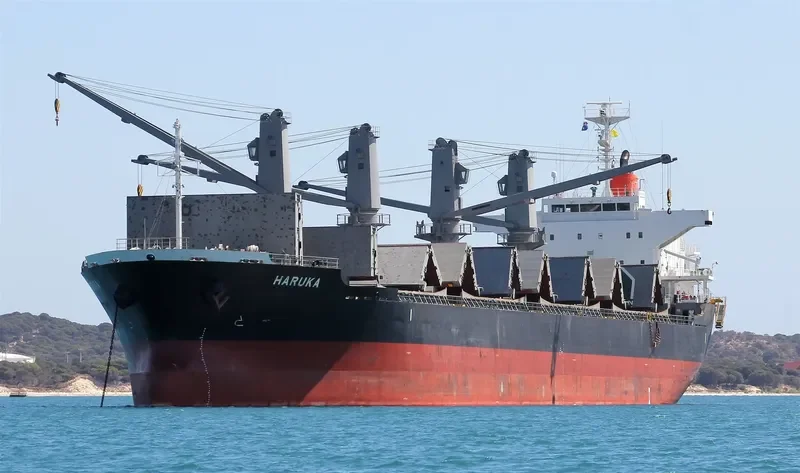 HARUKA Bulk Carrier IMO 9589619 photo 8
