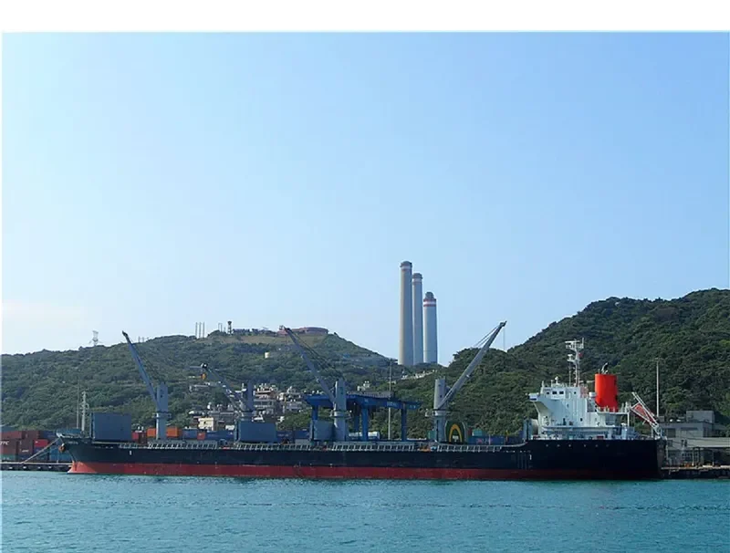 HARUKA Bulk Carrier IMO 9589619 photo 9
