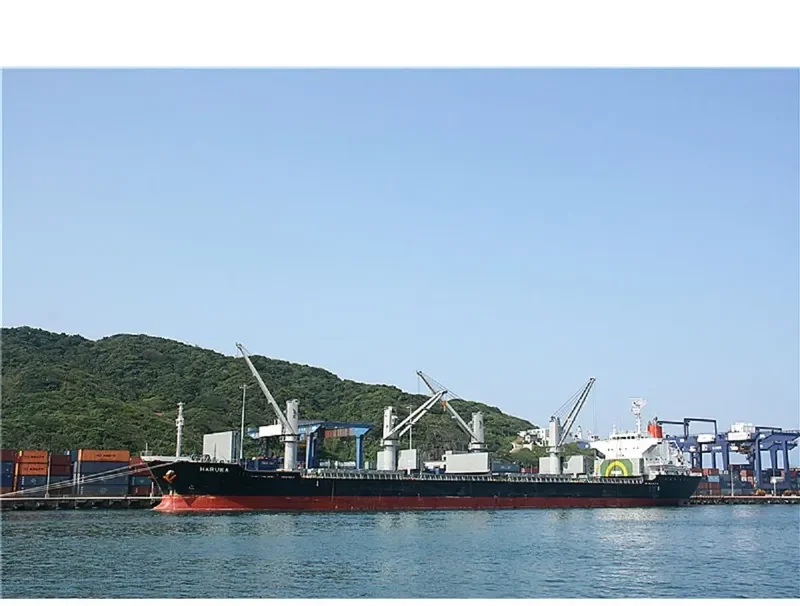 HARUKA Bulk Carrier IMO 9589619 photo 10