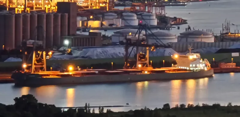 EDGAR Bulk Carrier IMO 9589621 photo 2