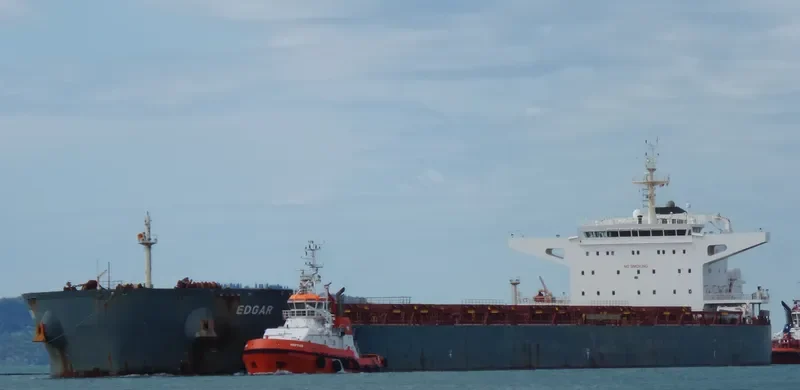 EDGAR Bulk Carrier IMO 9589621 photo 4