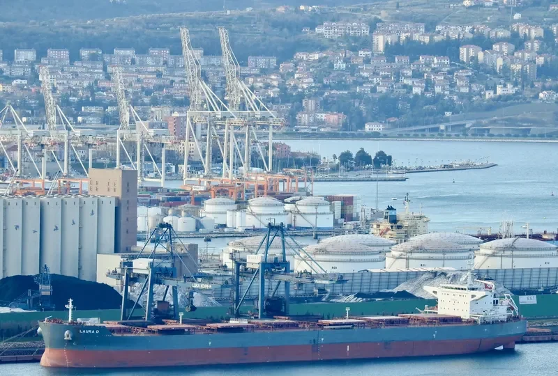 LAURA D Bulk Carrier IMO 9589633