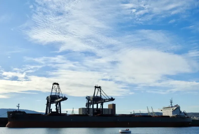 LAURA D Bulk Carrier IMO 9589633 photo 3