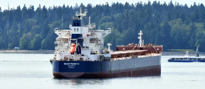 SEASTRENGTH Bulk Carrier IMO 9589671