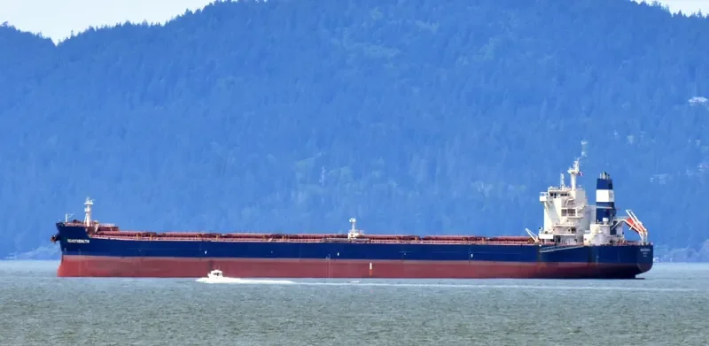 SEASTRENGTH Bulk Carrier IMO 9589671 photo 3