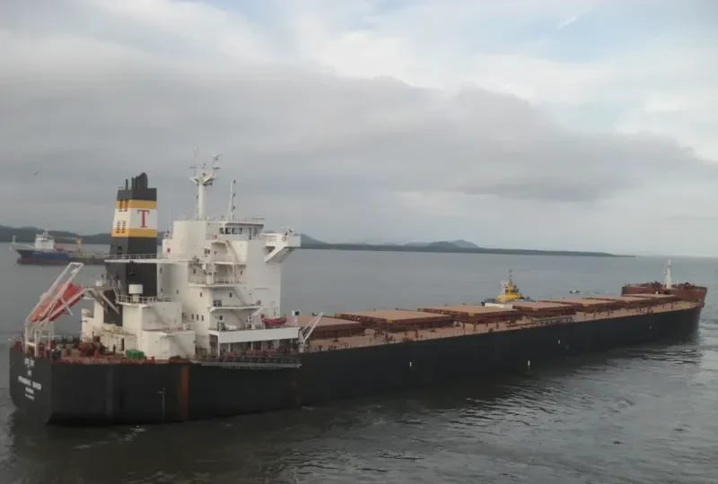 SEASTRENGTH Bulk Carrier IMO 9589671 photo 6