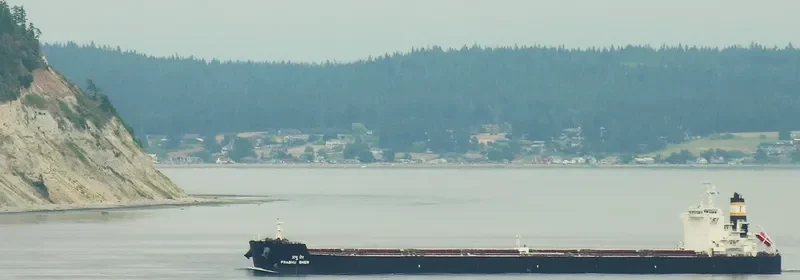 SEASTRENGTH Bulk Carrier IMO 9589671 photo 9