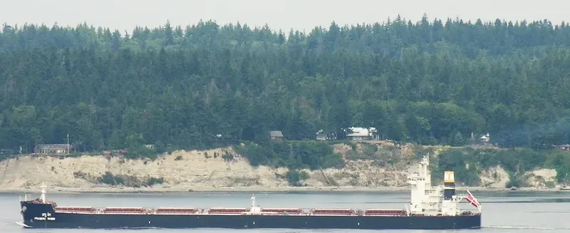 SEASTRENGTH Bulk Carrier IMO 9589671 photo 10