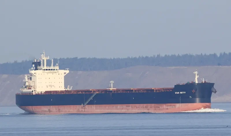 STAR BETTY Bulk Carrier IMO 9589683