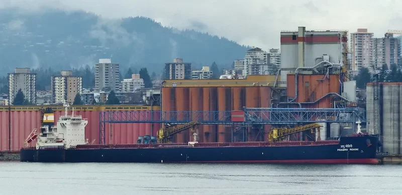 STAR BETTY Bulk Carrier IMO 9589683 photo 2