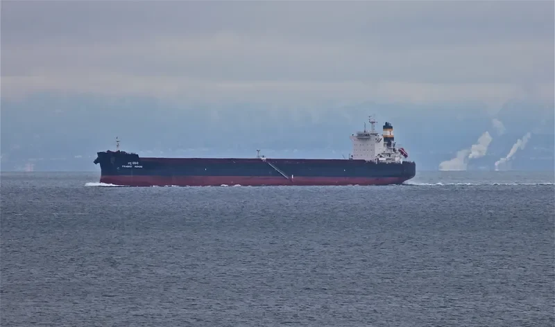 STAR BETTY Bulk Carrier IMO 9589683 photo 3