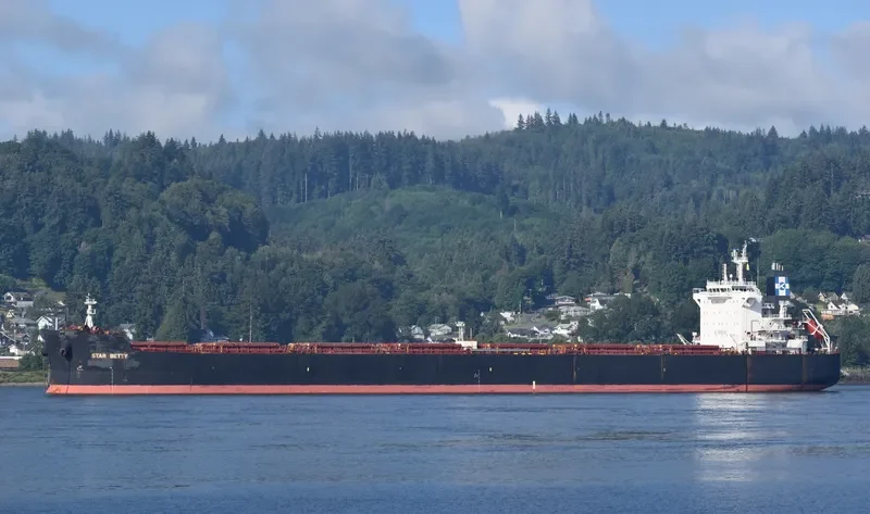 STAR BETTY Bulk Carrier IMO 9589683 photo 5