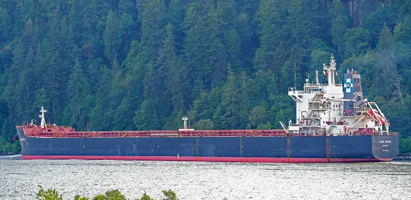 STAR BETTY Bulk Carrier IMO 9589683 photo 6