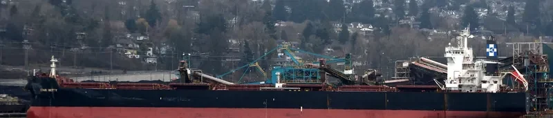 STAR BETTY Bulk Carrier IMO 9589683 photo 8
