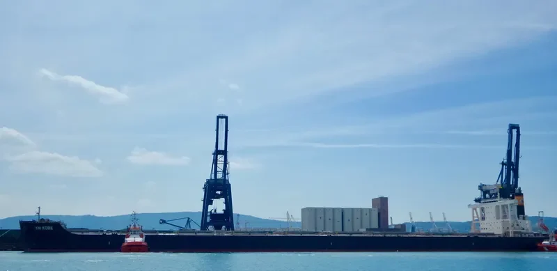 CAPETAN IOANNIS Bulk Carrier IMO 9589695 photo 5