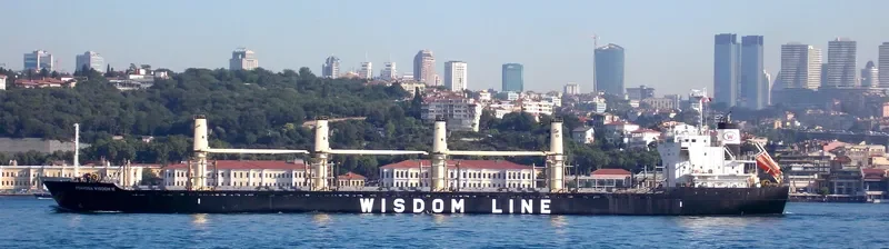 POAVOSA WISDOM VI Bulk Carrier IMO 9589724 photo 3