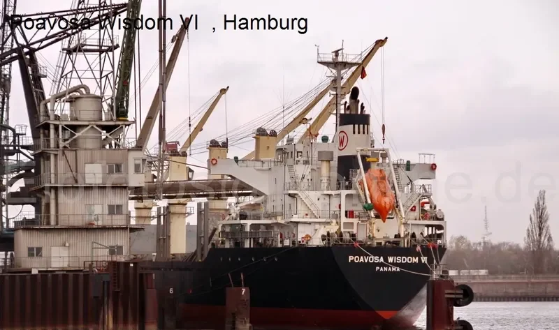 POAVOSA WISDOM VI Bulk Carrier IMO 9589724 photo 4