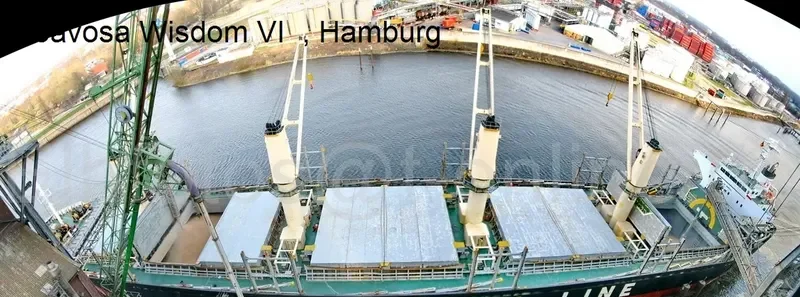 POAVOSA WISDOM VI Bulk Carrier IMO 9589724 photo 5