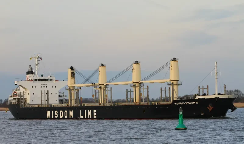 POAVOSA WISDOM VI Bulk Carrier IMO 9589724 photo 7