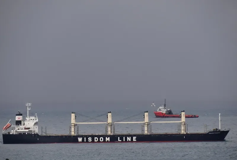 POAVOSA WISDOM VI Bulk Carrier IMO 9589724 photo 9