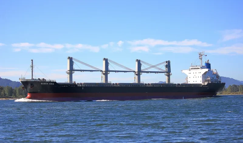 QUEEN HARMONY Bulk Carrier IMO 9589736 photo 2