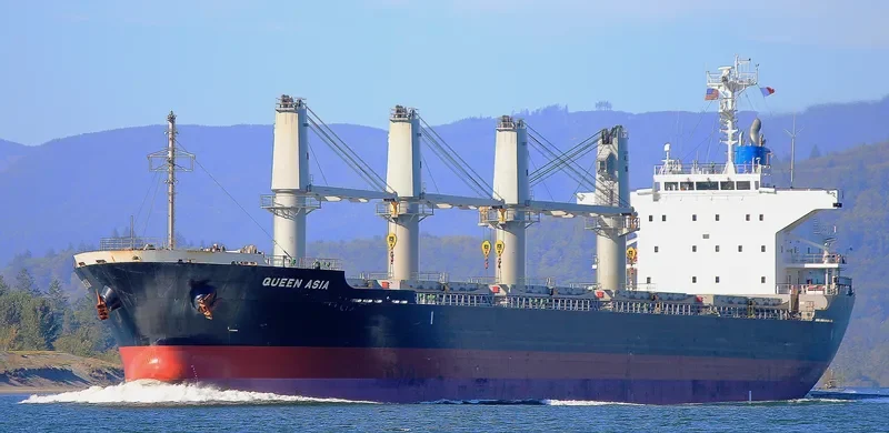 QUEEN HARMONY Bulk Carrier IMO 9589736 photo 3
