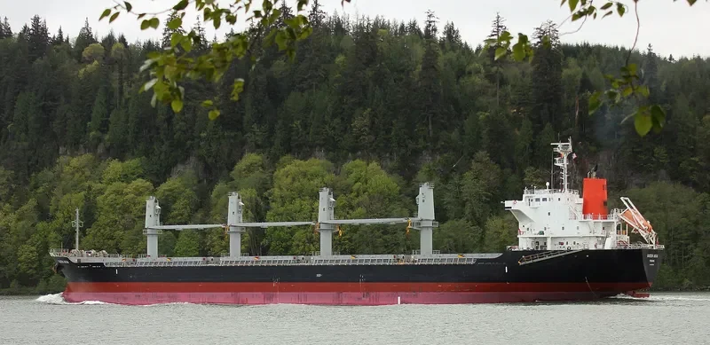 QUEEN HARMONY Bulk Carrier IMO 9589736 photo 5