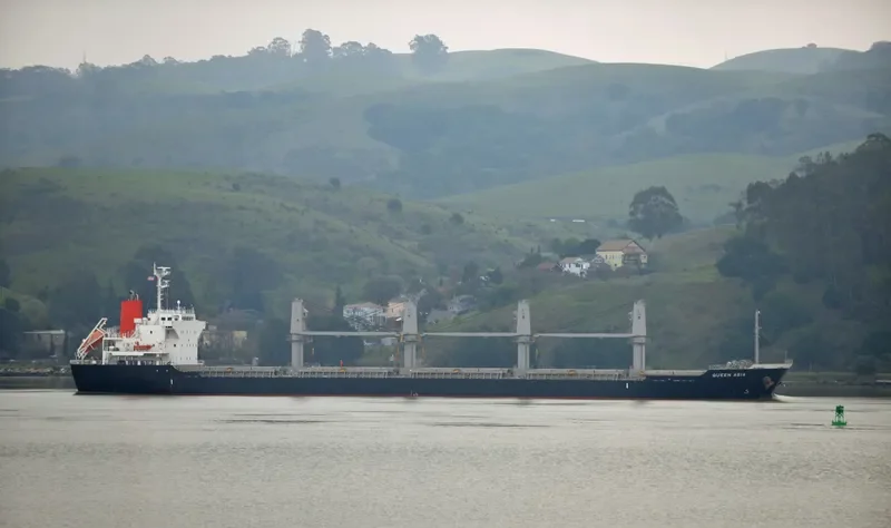 QUEEN HARMONY Bulk Carrier IMO 9589736 photo 7
