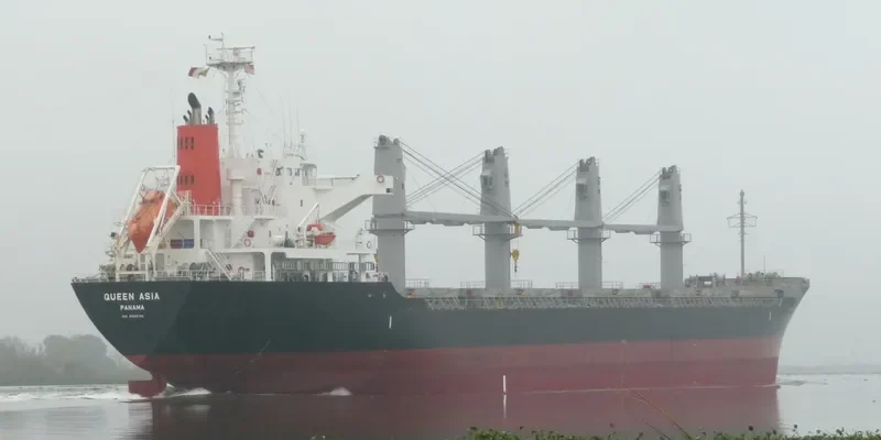 QUEEN HARMONY Bulk Carrier IMO 9589736 photo 8