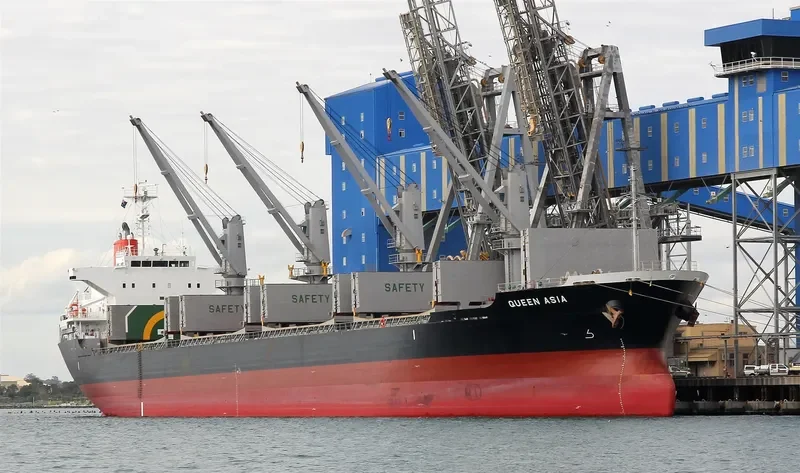 QUEEN HARMONY Bulk Carrier IMO 9589736 photo 9