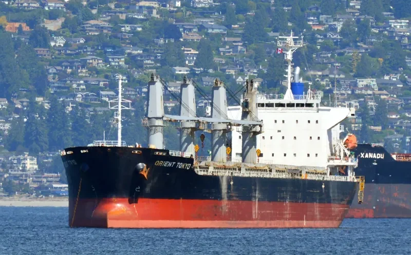 SCHELDE CONFIDENCE Bulk Carrier IMO 9589762 photo 5